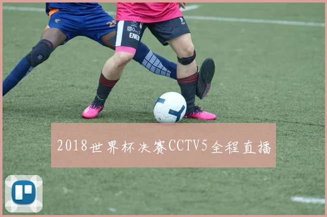 2018世界杯决赛CCTV5全程直播