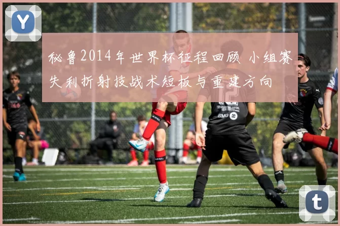 秘鲁2014年世界杯征程回顾 小组赛失利折射技战术短板与重建方向