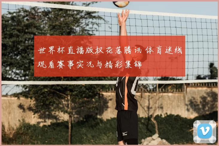 世界杯直播版权花落腾讯 体育迷线观看赛事实况与精彩集锦