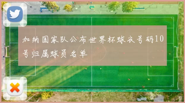 加纳国家队公布世界杯球衣号码10号归属球员名单