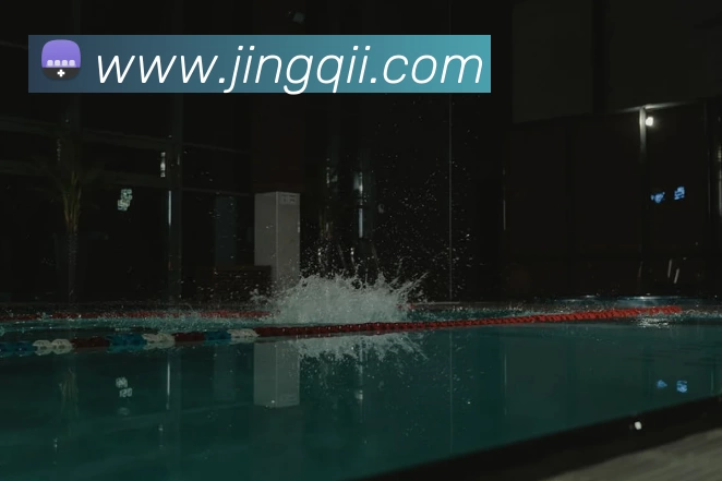 星空官方登录网站平台生态图